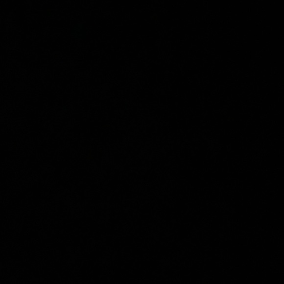 Meet your Posher, Eden - Picture 1 of 1